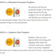 Illustration for article titled UpViral Review - Get +250 Bonus Now! UpViral Bonus